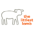 The Little Lamb Orphanage in Obour City is Hiring
